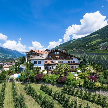 Pension Zum Burggraefler Скена Экстерьер фото