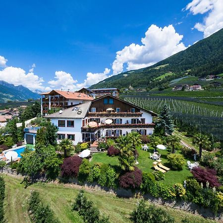 Pension Zum Burggraefler Скена Экстерьер фото